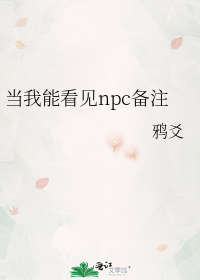 当我能看见npc备注